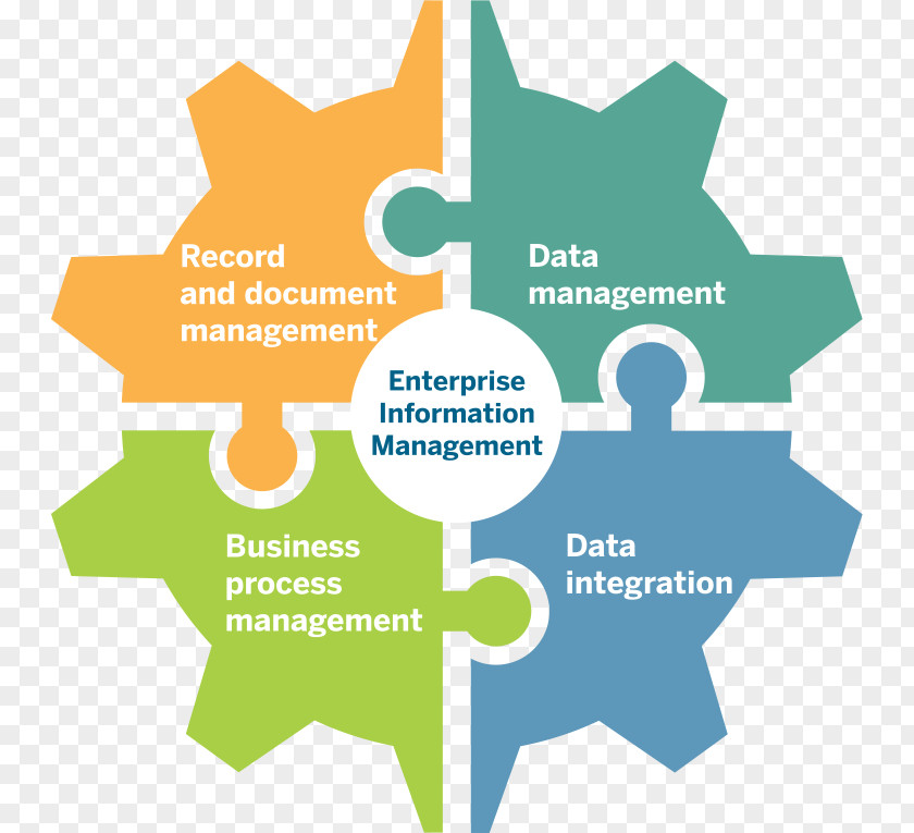 Business Enterprise Information Management Organization Technology PNG