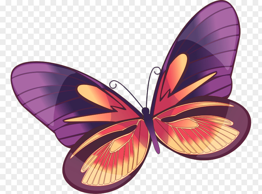 Butterfly Monarch Clip Art PNG