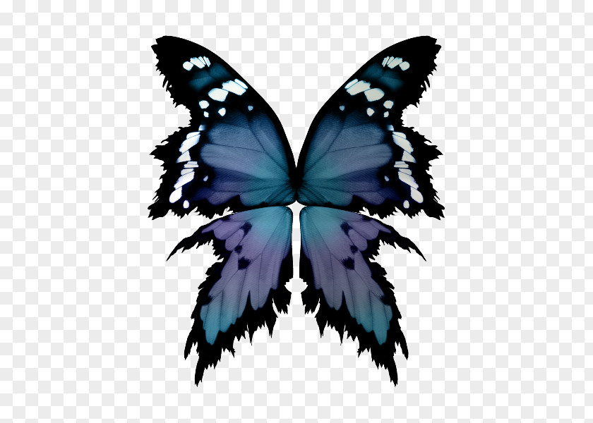 Butterfly Painting Brush Symmetry PNG