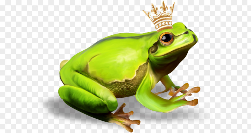Frog Prince The PNG