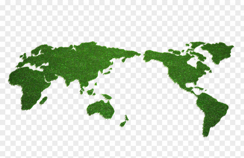 Green World Map Globe Dynic USA Corporation PNG