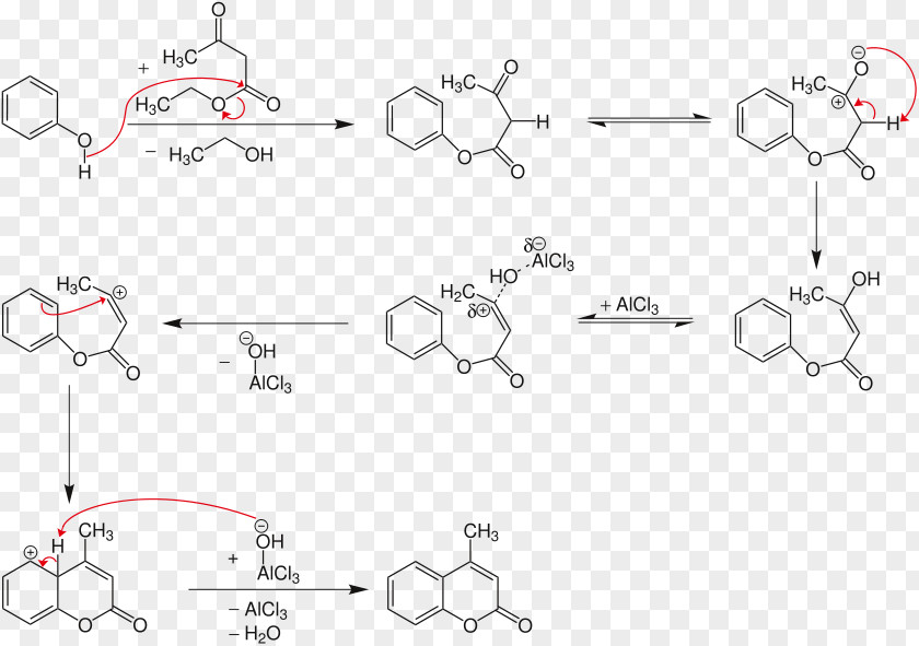 Kt Pechmann Condensation Reaction Chemist Coumarin Carbonyl Group PNG