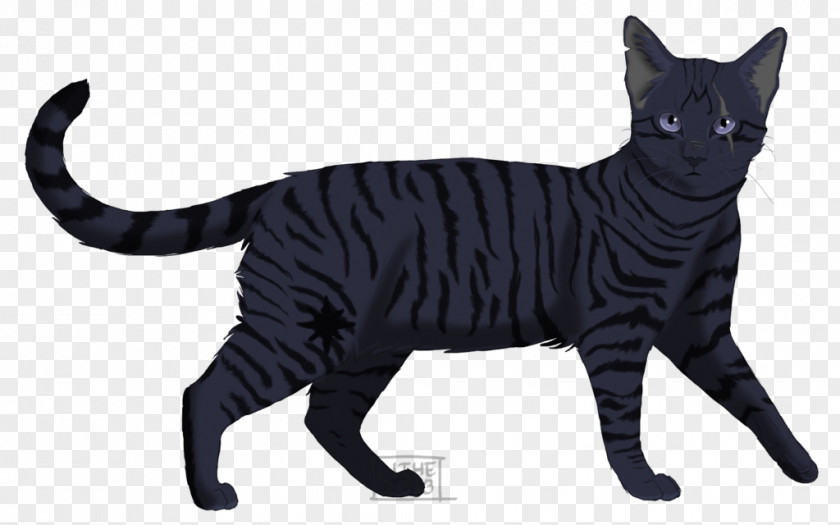 Lithe Domestic Short-haired Cat American Shorthair Warriors Drawing PNG
