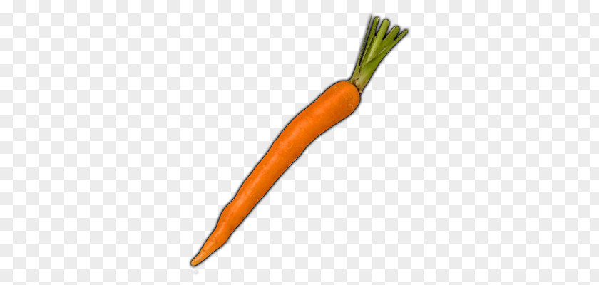 Pen Ballpoint Penne Pencil Carrot PNG