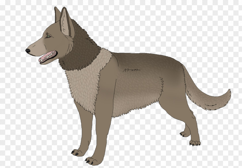 Sam Winchester Saarloos Wolfdog Czechoslovakian Canaan Dog Breed PNG