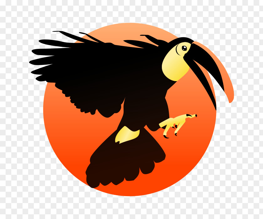 Toucan Bird Beak Animal Clip Art PNG