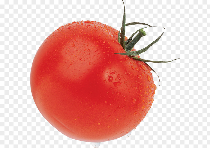 Vegetable Cherry Tomato Pa Amb Tomàquet Food PNG