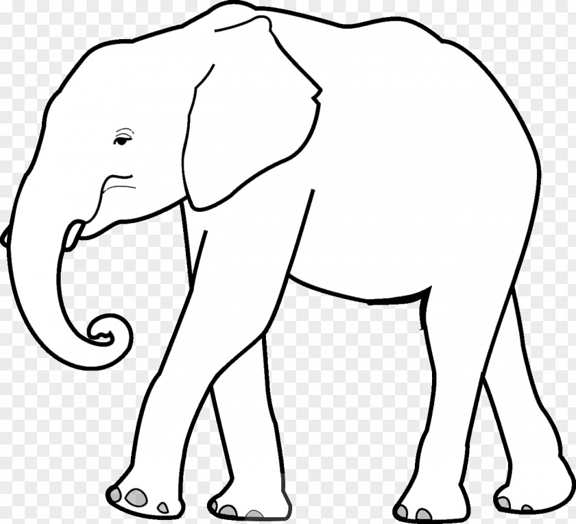 White Elephant Indian African Elephantidae Tiger Clip Art PNG
