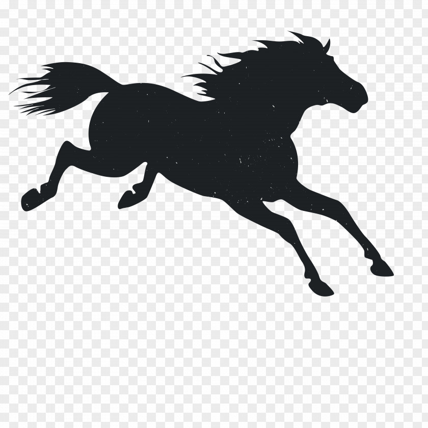 Animal Silhouettes Mustang Pony PNG