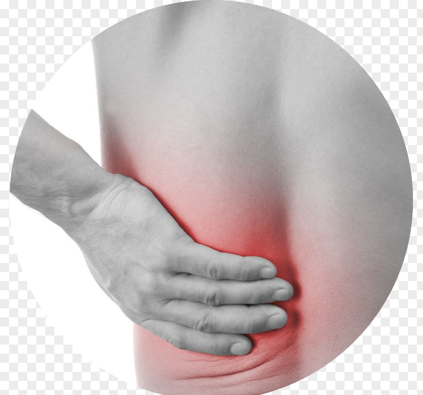 Back Pain Middle Neck Low Physical Therapy Human PNG