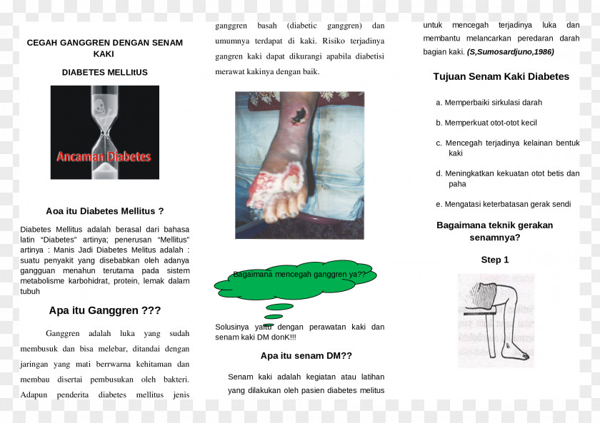 Chart Leaflets Diabetes Mellitus Gangrene Diabetic Foot Wound PNG