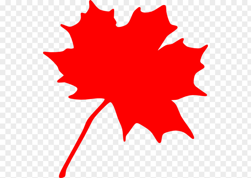 Maple Leaf Silhouette Canada Sugar Clip Art PNG
