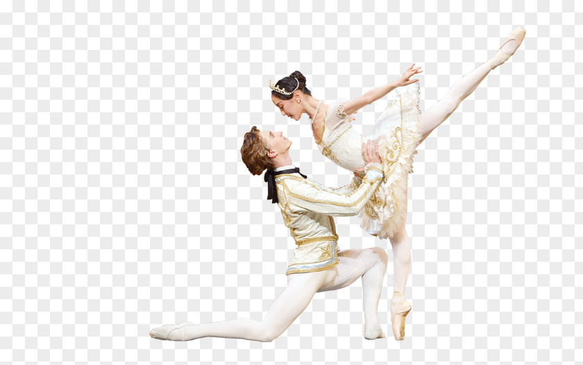 Sleeping Beauty Performing Arts Ballet Dancer Modern Dance PNG