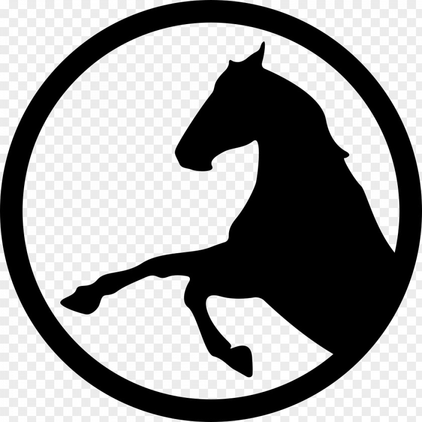 Symbol Riding Pony PNG
