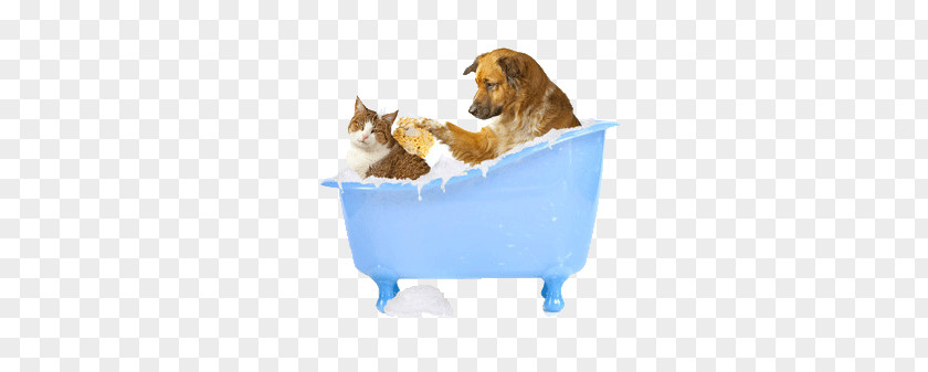 Two Animals In The Bath PNG animals in the bath clipart PNG