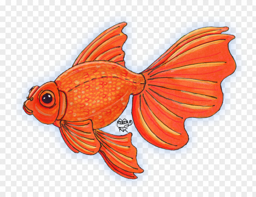Butterfly Goldfish PNG