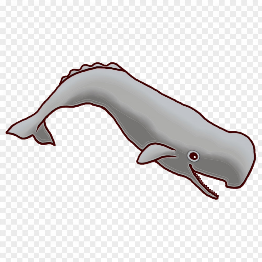 Dolphin Fish Font Tail Science PNG
