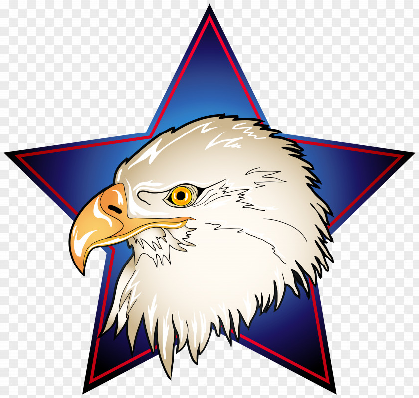 Eagle Head In Blue Star Transparent Clip Art Image Bald PNG