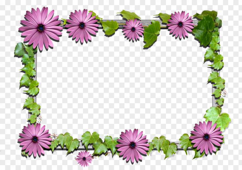 FLOWER FRAME Picture Frames Flower Clip Art PNG