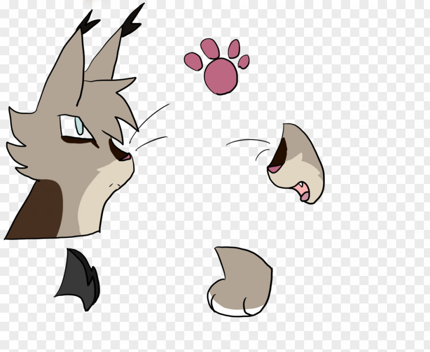 Kitten Whiskers Cat Mammal Paw PNG