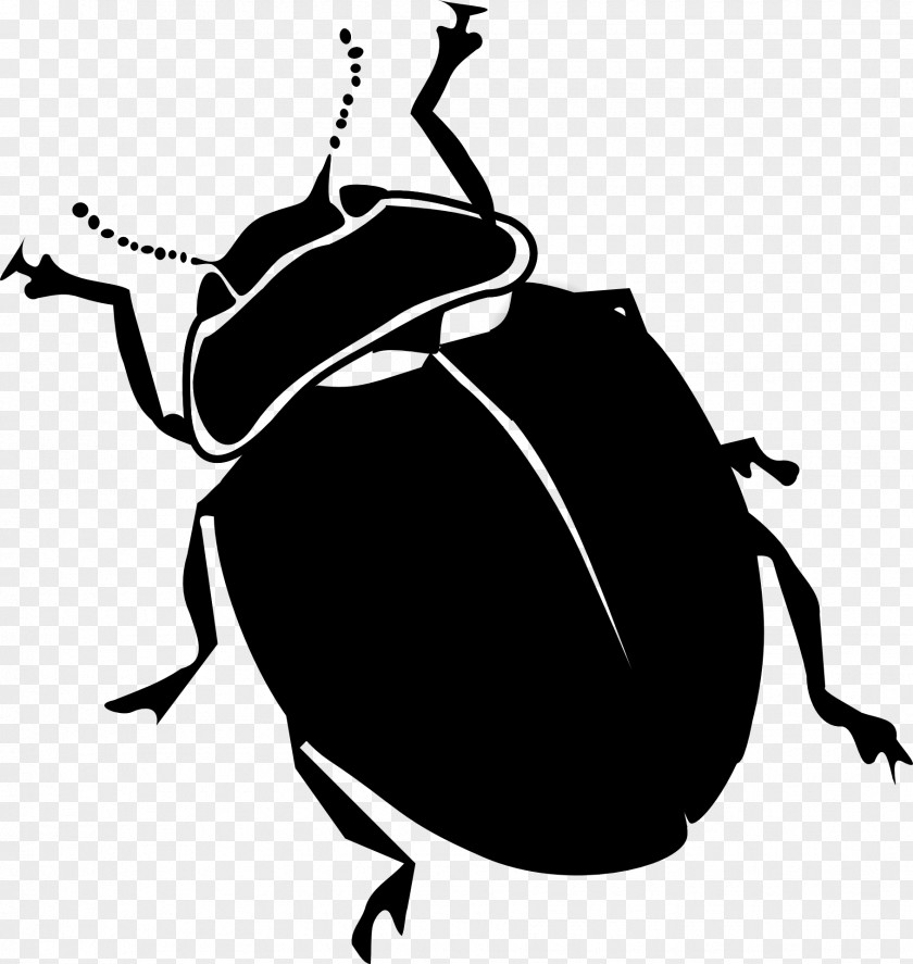 Ladybird Beetle Clip Art Black And White Ladybugs PNG