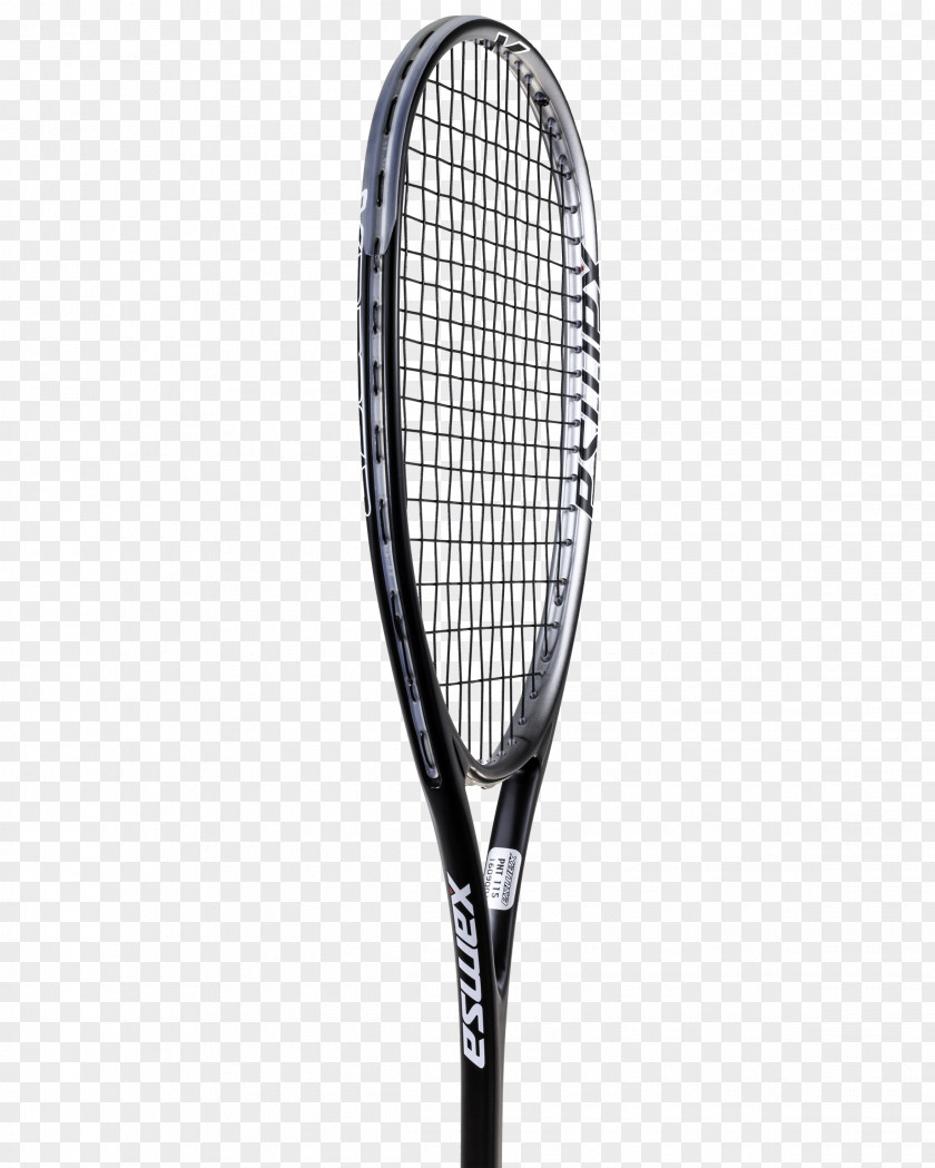 Sports Virtuoso Strings Racket Squash Rakieta Tenisowa Head PNG