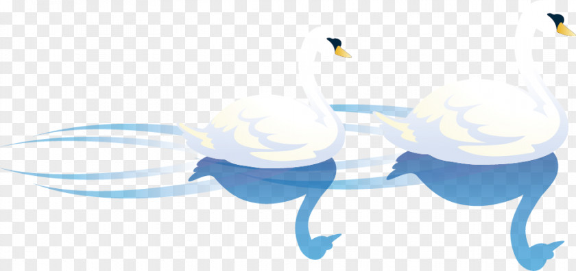 Vector White Swan Lake Cygnini Bird Illustration PNG