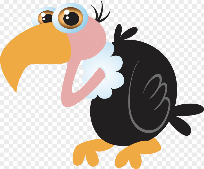 Animation Animal Cartoon Bird PNG
