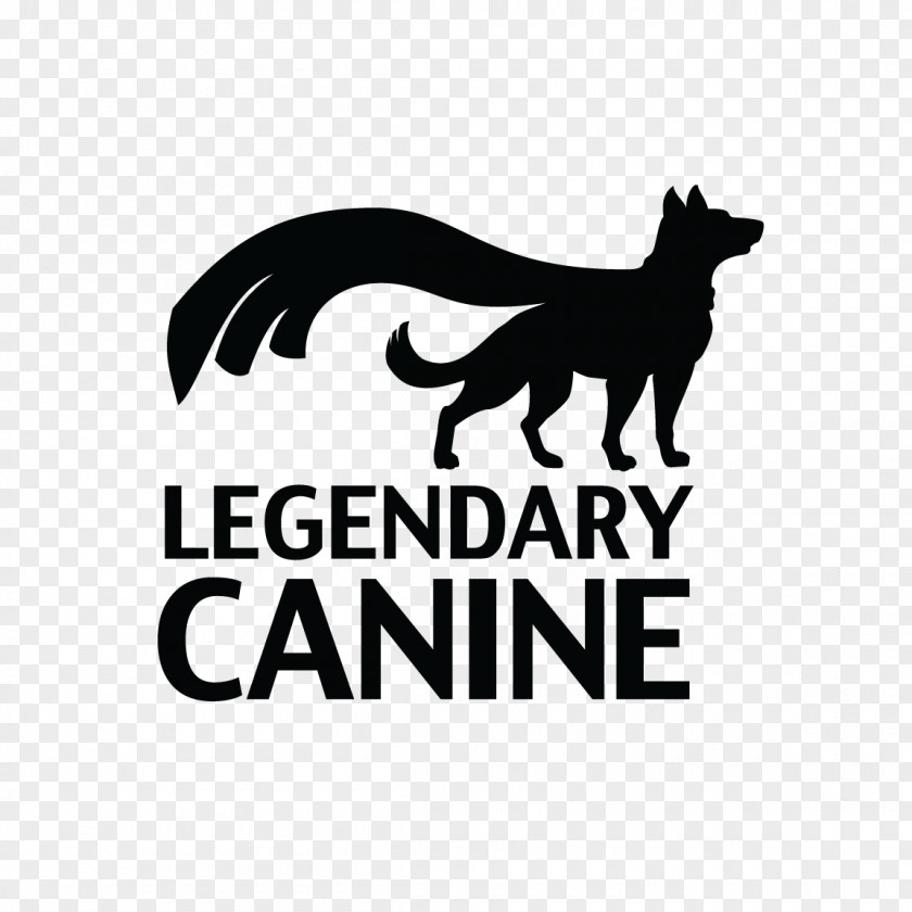 Cat Boxer American Pit Bull Terrier Komondor Puppy PNG