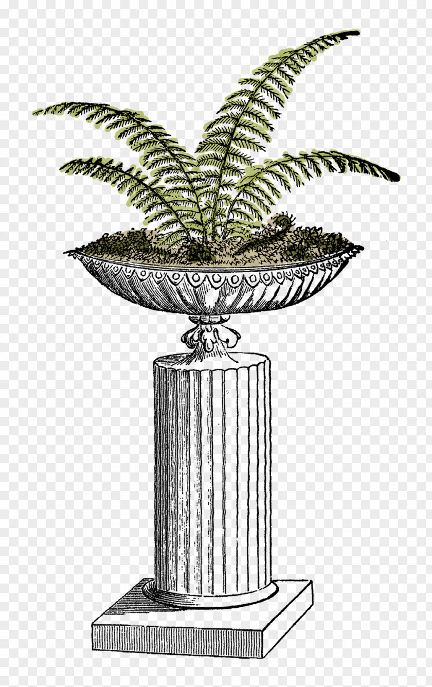 Fern Plant Flowerpot Clip Art PNG