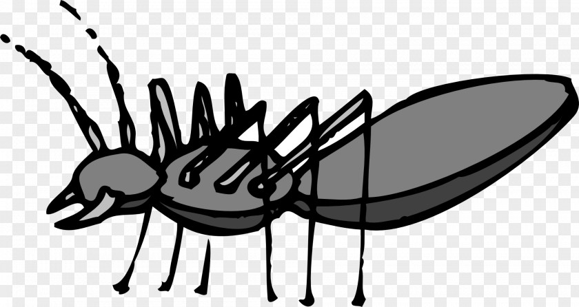 Insect Ant Clip Art Image Vector Graphics PNG