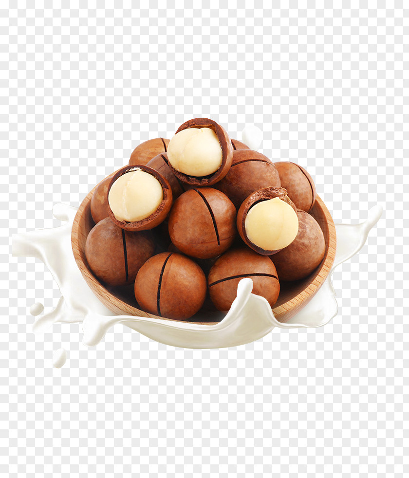 Milk Macadamia Nuts Cream Nut Food PNG