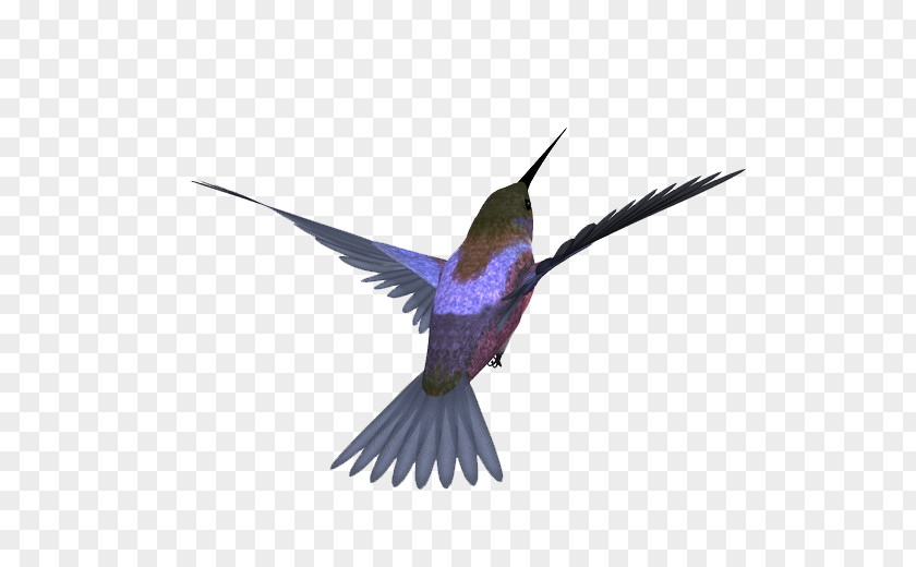 Parfait Bird Image Design Download PNG