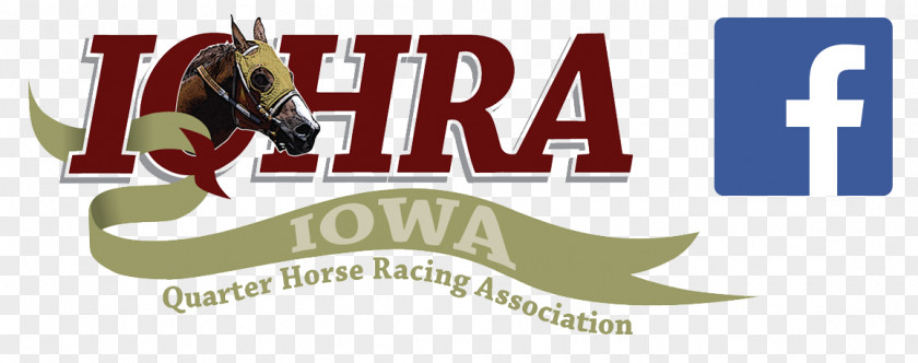 Rocky Mountain Quarter Horse Association American Stallion Racing Plasma Cutting PNG