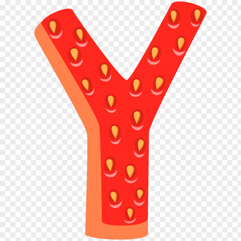 Y Fruit Strawberry Vegetable Drawing PNG