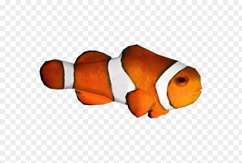 Afro Background Clip Art Clownfish Image PNG