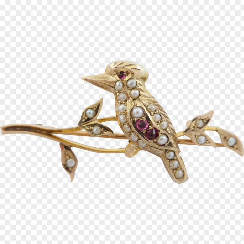 Australia Brooch Kookaburra Jewellery Gold PNG