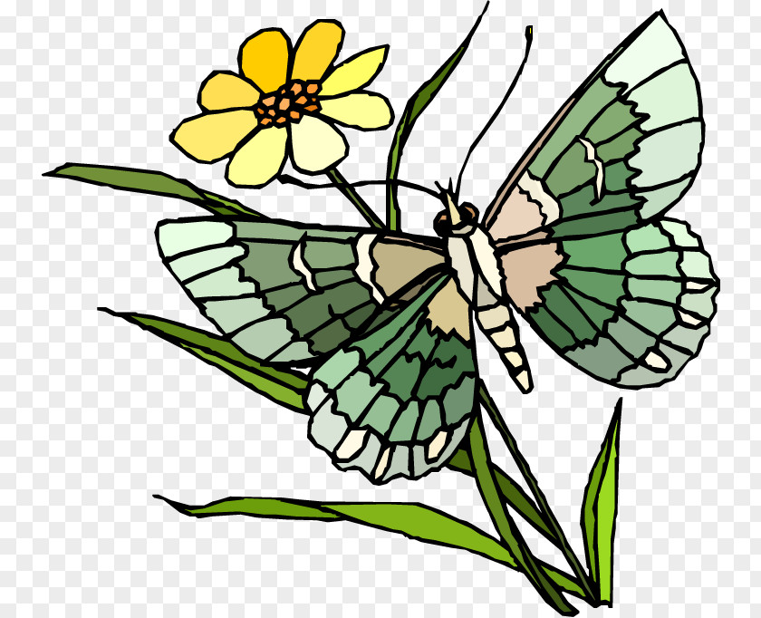 Butterfly Monarch Clip Art Image Butterflies In The Garden PNG