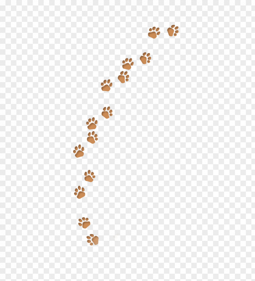 Cartoon Footprints Footprint PNG