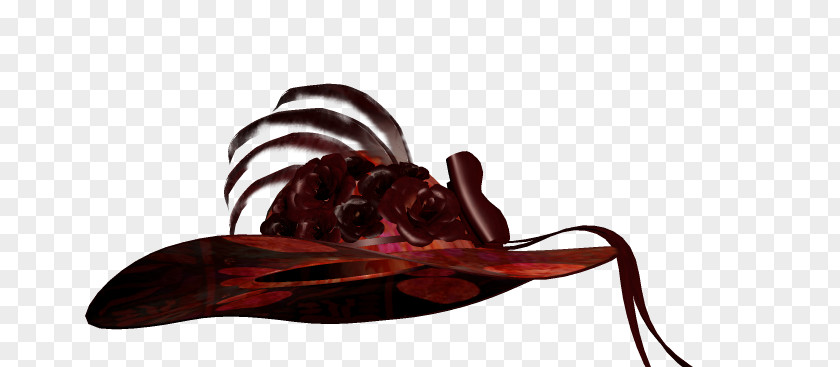 Gorro Insect Hat Maroon PNG