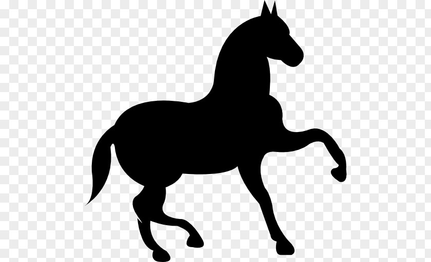 Horseshoe Morgan Horse Black Equestrian Clip Art PNG