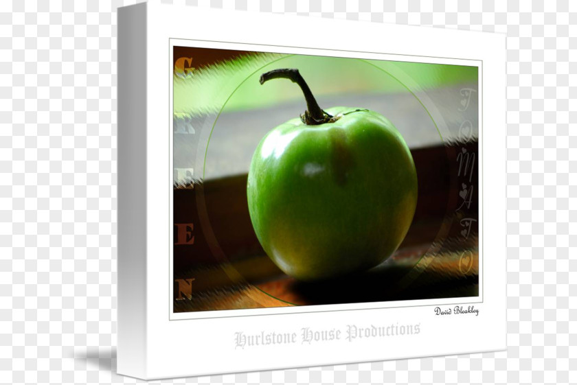 Technology Granny Smith PNG