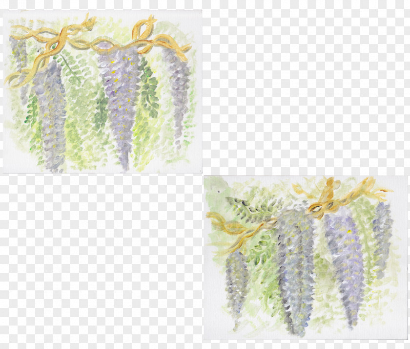 Wisteria Lilac Purple Lavender PNG