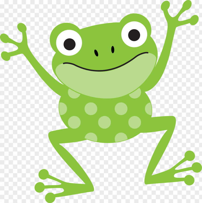 Amphibian The Tree Frog Drawing Clip Art PNG