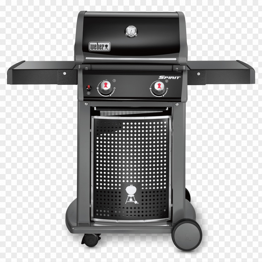 Barbecue Weber-Stephen Products Natural Gas Propane Grilling PNG