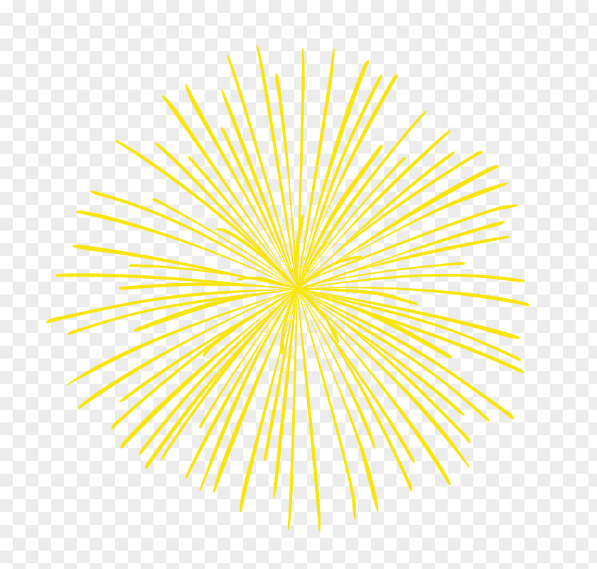 Diverging Linear Dandelion Fireworks Point Circle PNG