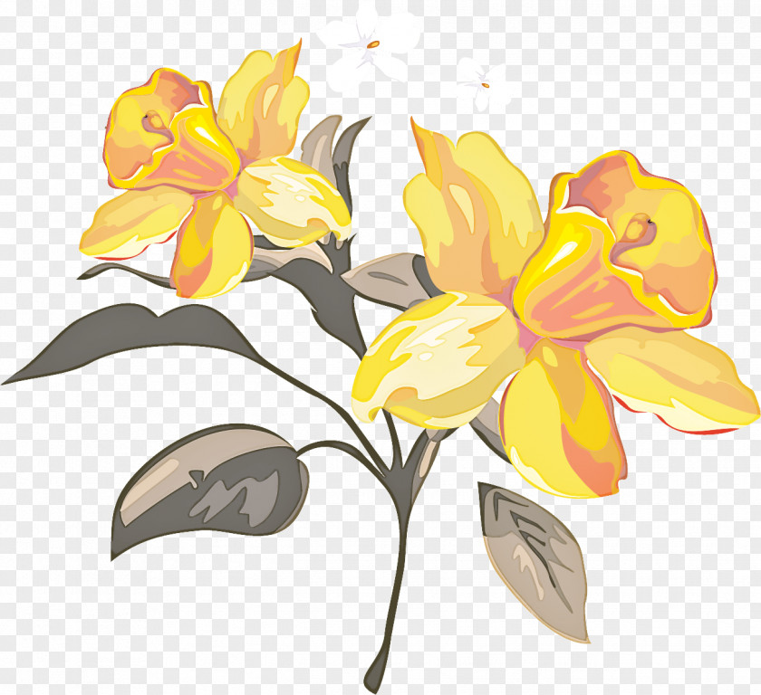 Flower Yellow Plant Petal Narcissus PNG