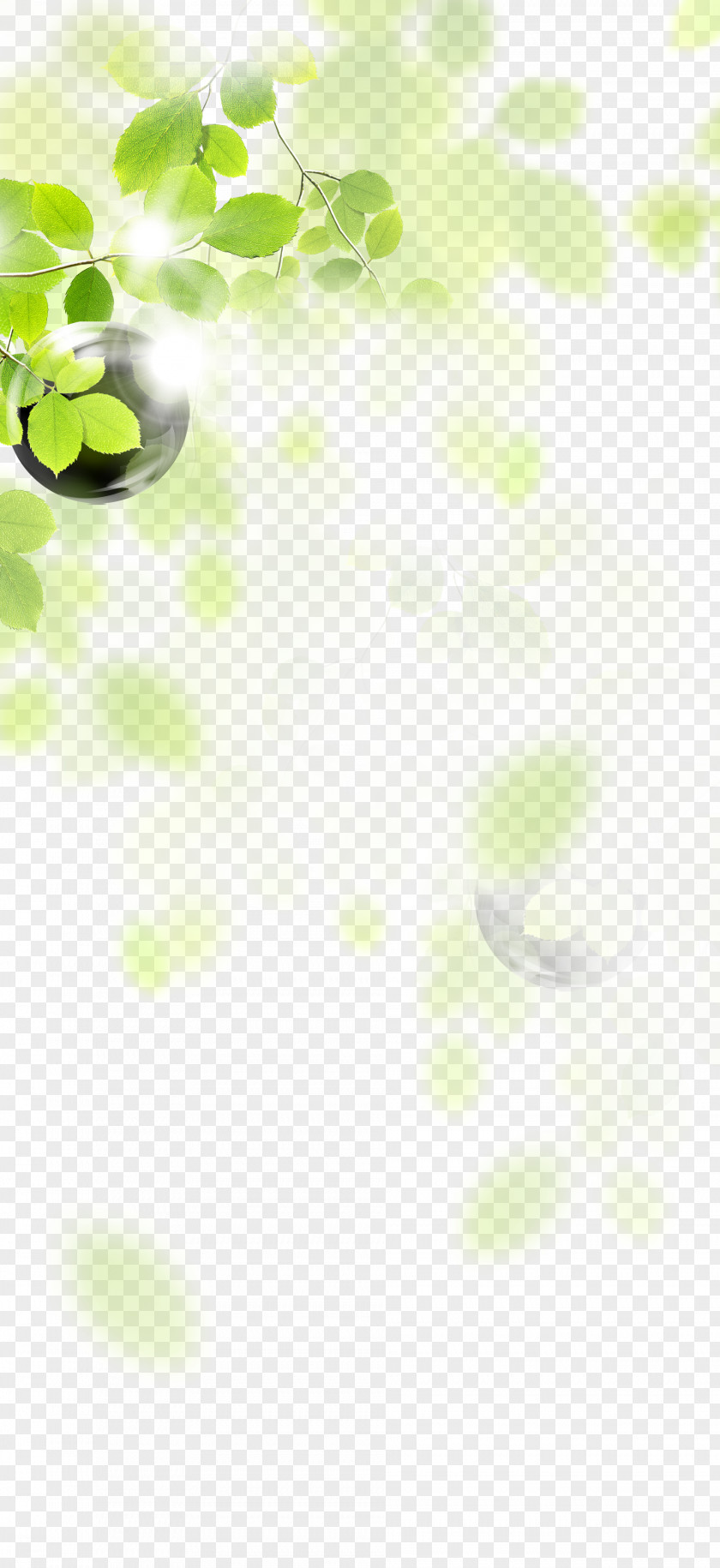 Leaves, Leaf Decoration, Taobao Creative, Green Angle LINE Pattern PNG