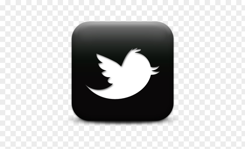 Creative Dice United States Social Media Google Tweetie Company PNG