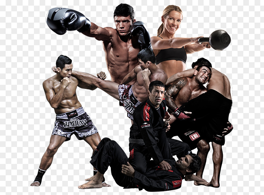 Fight Mixed Martial Arts Brazilian Jiu-jitsu Sport Evolve MMA PNG